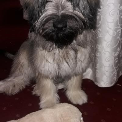 Billy